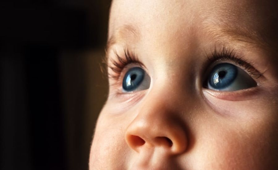 Baby Eye Color Calculator with Grandparents Insights