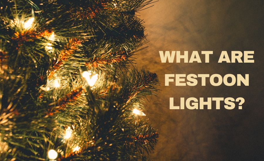 What Are Festoon Lights and How to Shop Online?