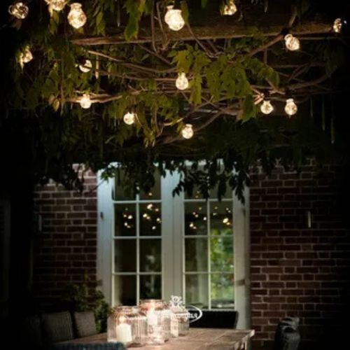 What Are Festoon Lights and How to Shop Online?