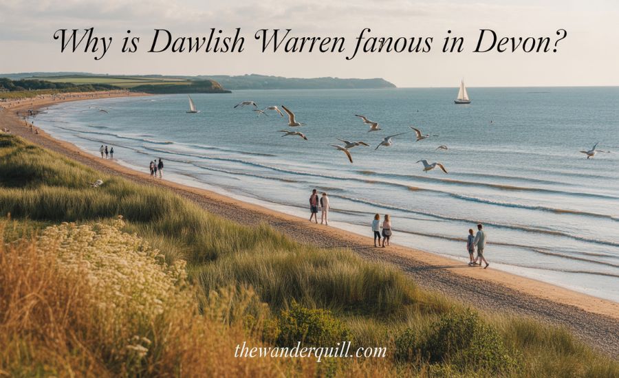 A scenic beach with grassy dunes in the foreground, people walking along the shore, seagulls flying overhead, calm sea with distant sailboats, and text asking, Why is Dawlish Warren famous in Devon?.