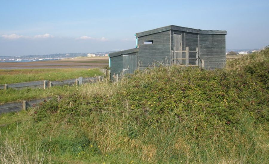 A small, weathered wooden bird-watching hide sits among tall grass and bushes on a coastal landscape, with open fields and distant buildings visible in the background.